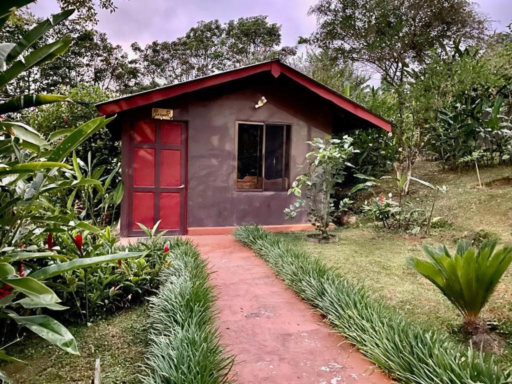 Hotel De Montana El Pelicano San Isidro De El General エクステリア 写真