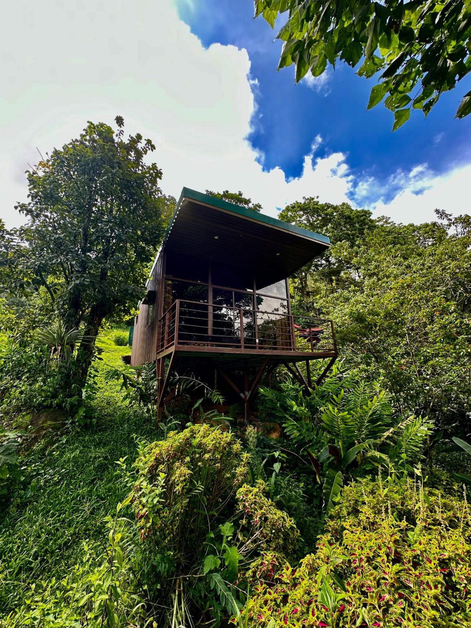Hotel De Montana El Pelicano San Isidro De El General エクステリア 写真