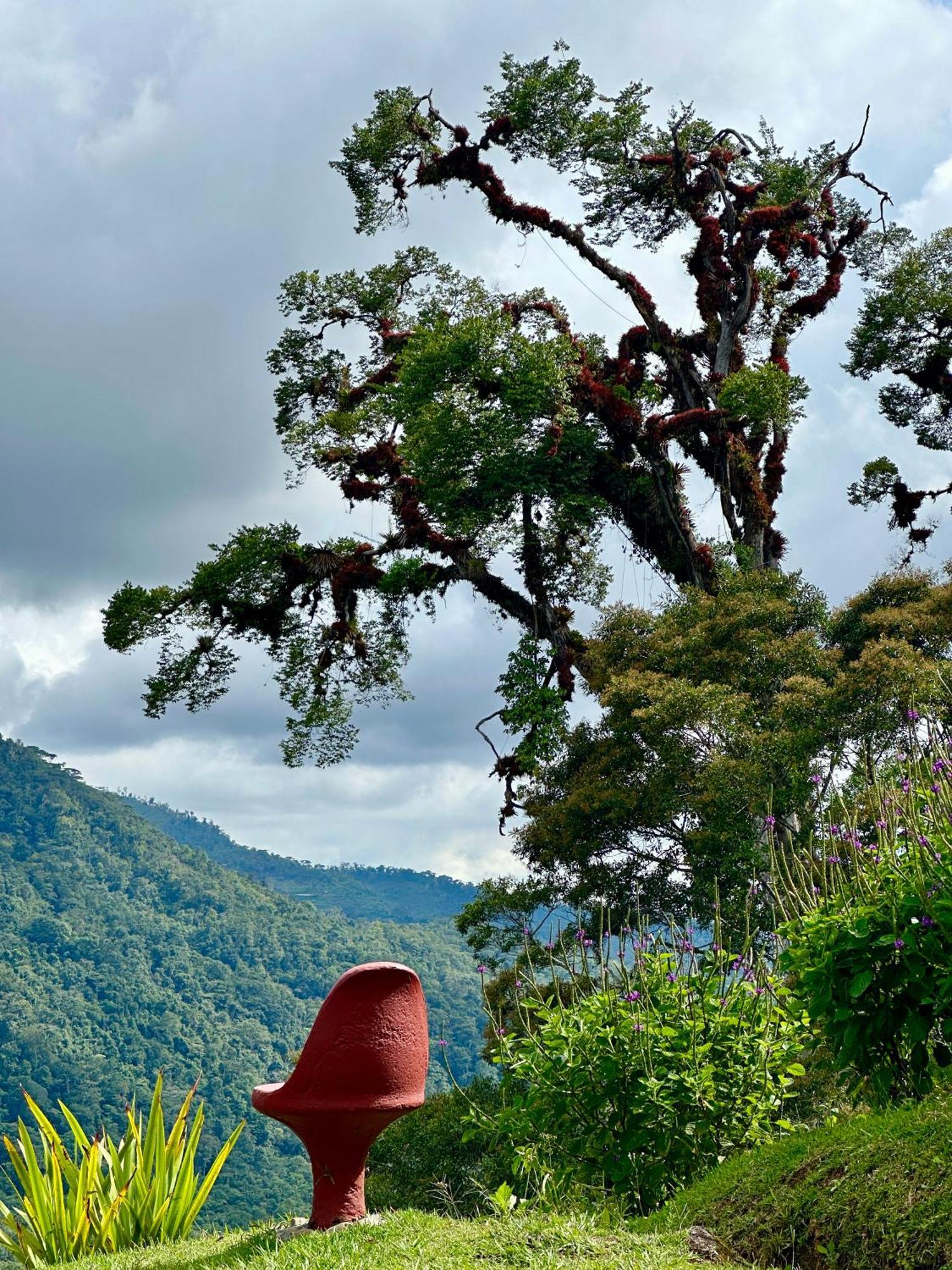 Hotel De Montana El Pelicano San Isidro De El General エクステリア 写真
