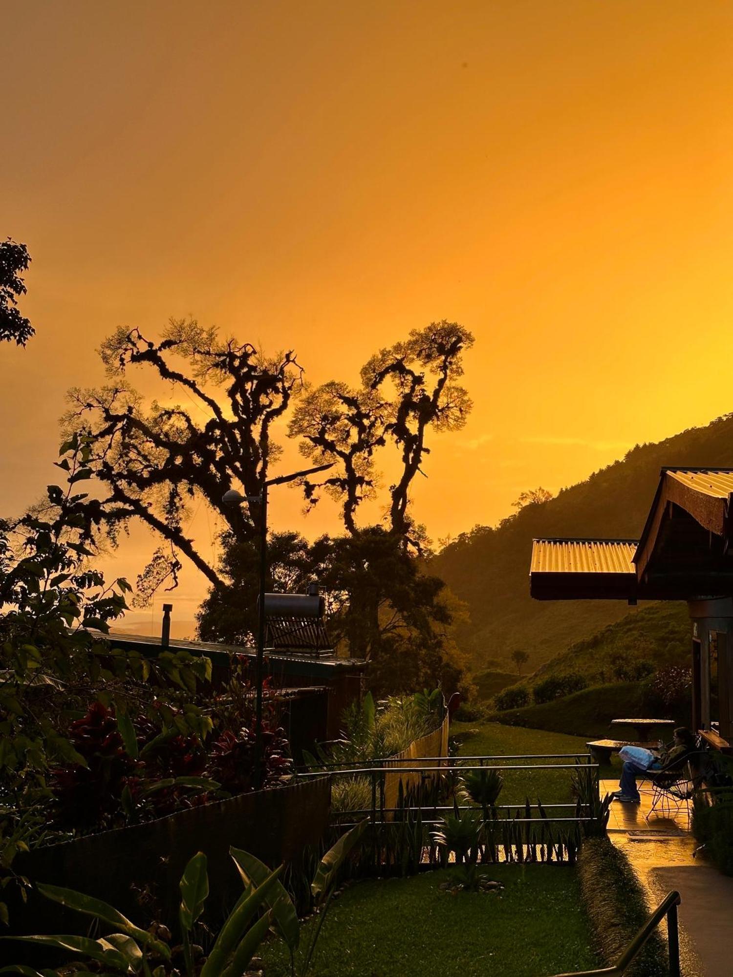 Hotel De Montana El Pelicano San Isidro De El General エクステリア 写真
